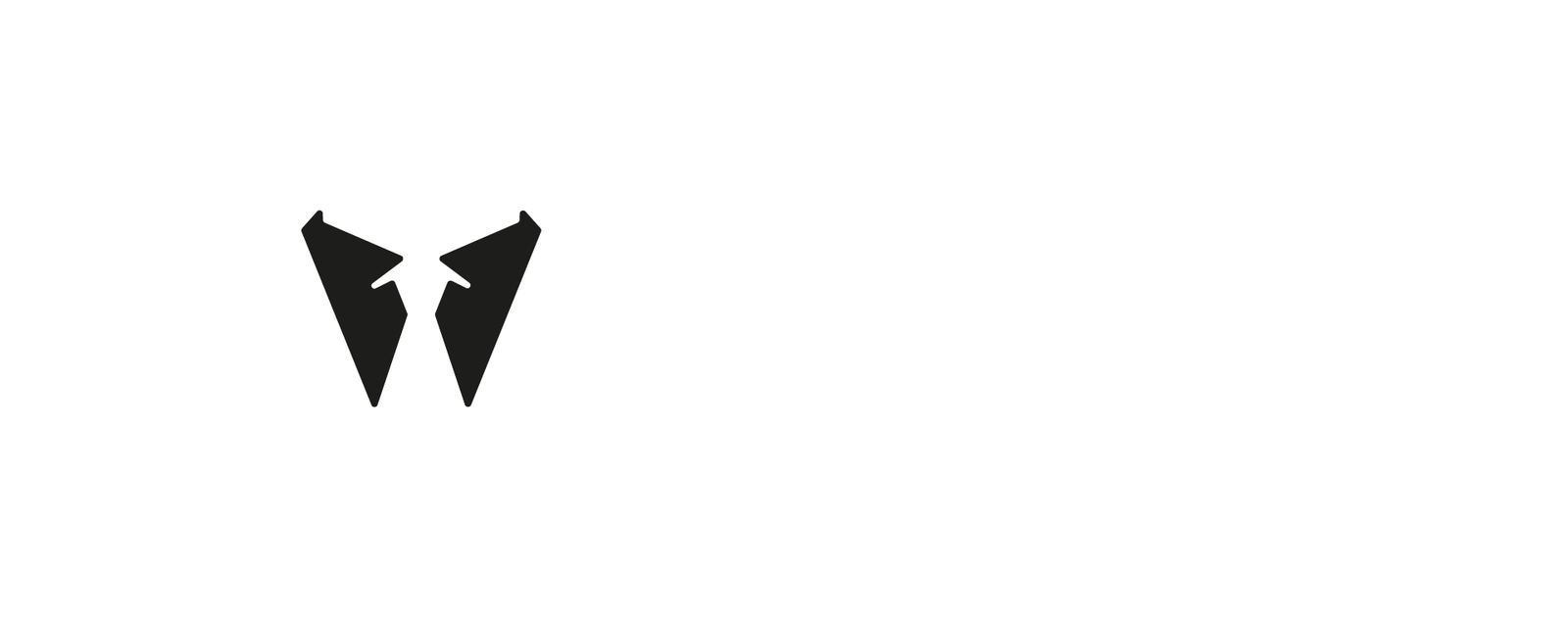 manlyguidebook